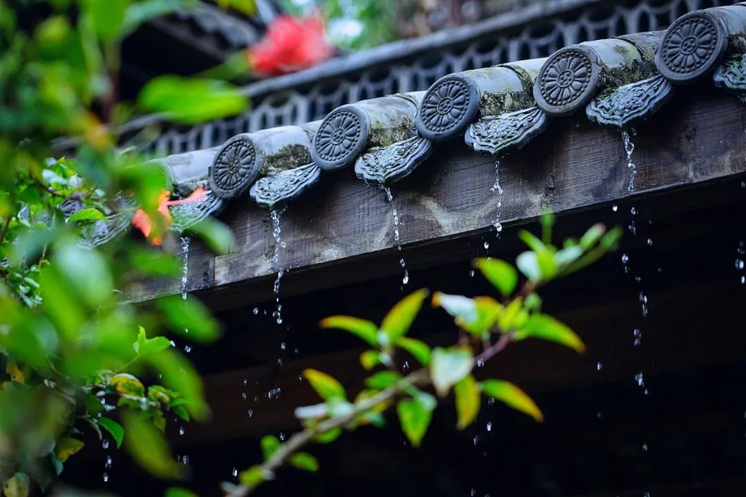 1750034551666385.jpg 640 (9).jpg